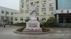 石雕匠心，镌刻医者风华