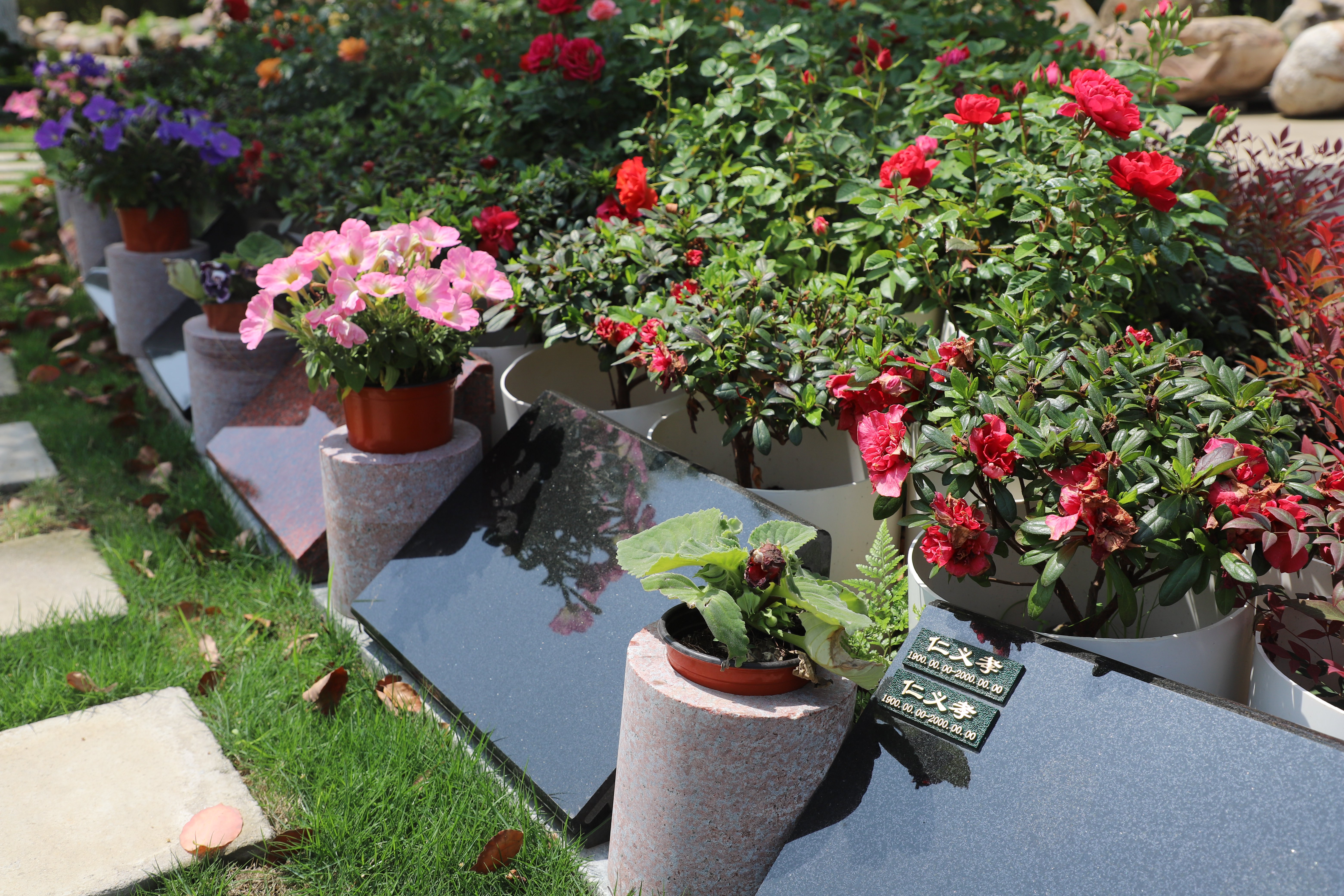 首页- 人生就是博中国官网入口