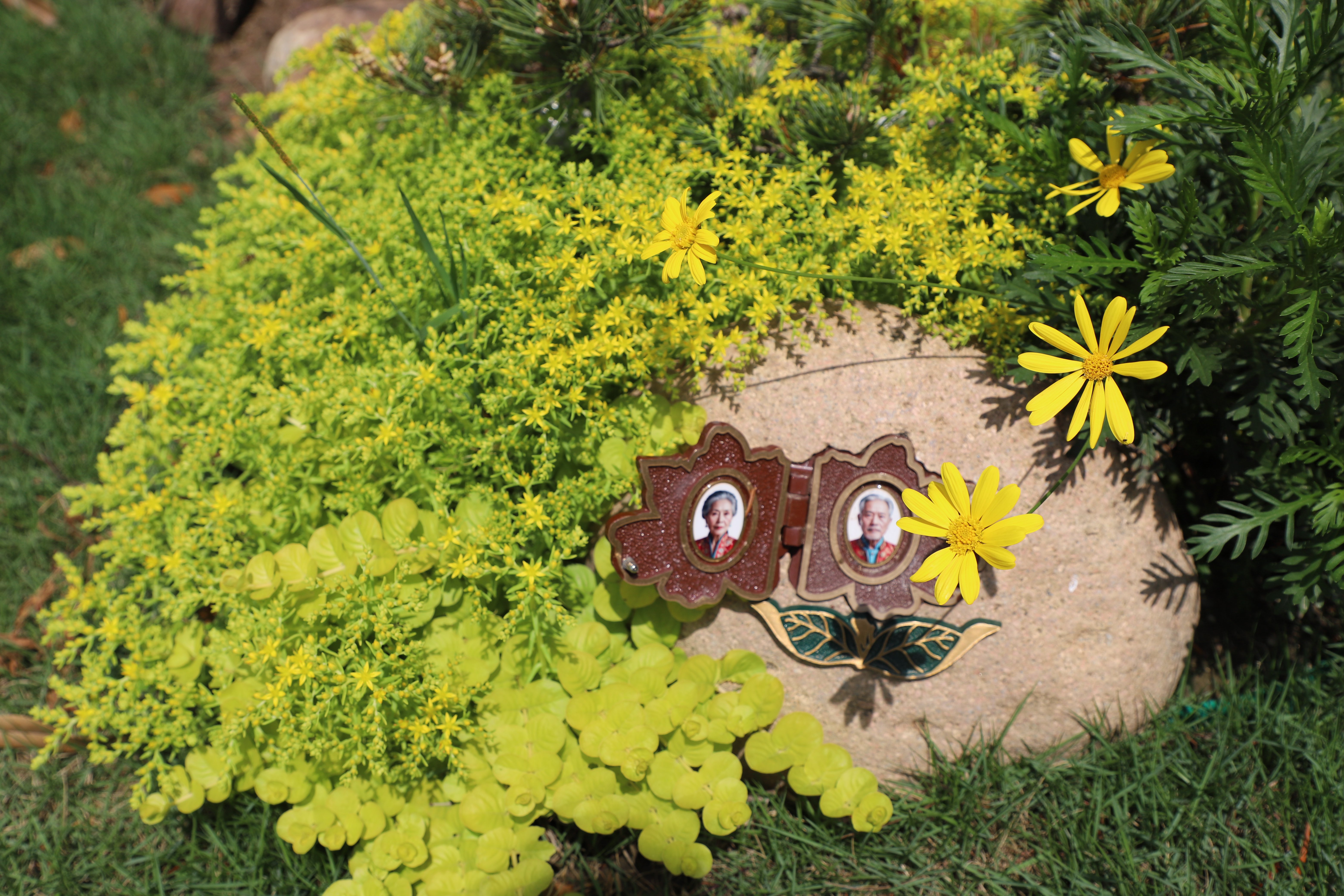 首页- 人生就是博中国官网入口