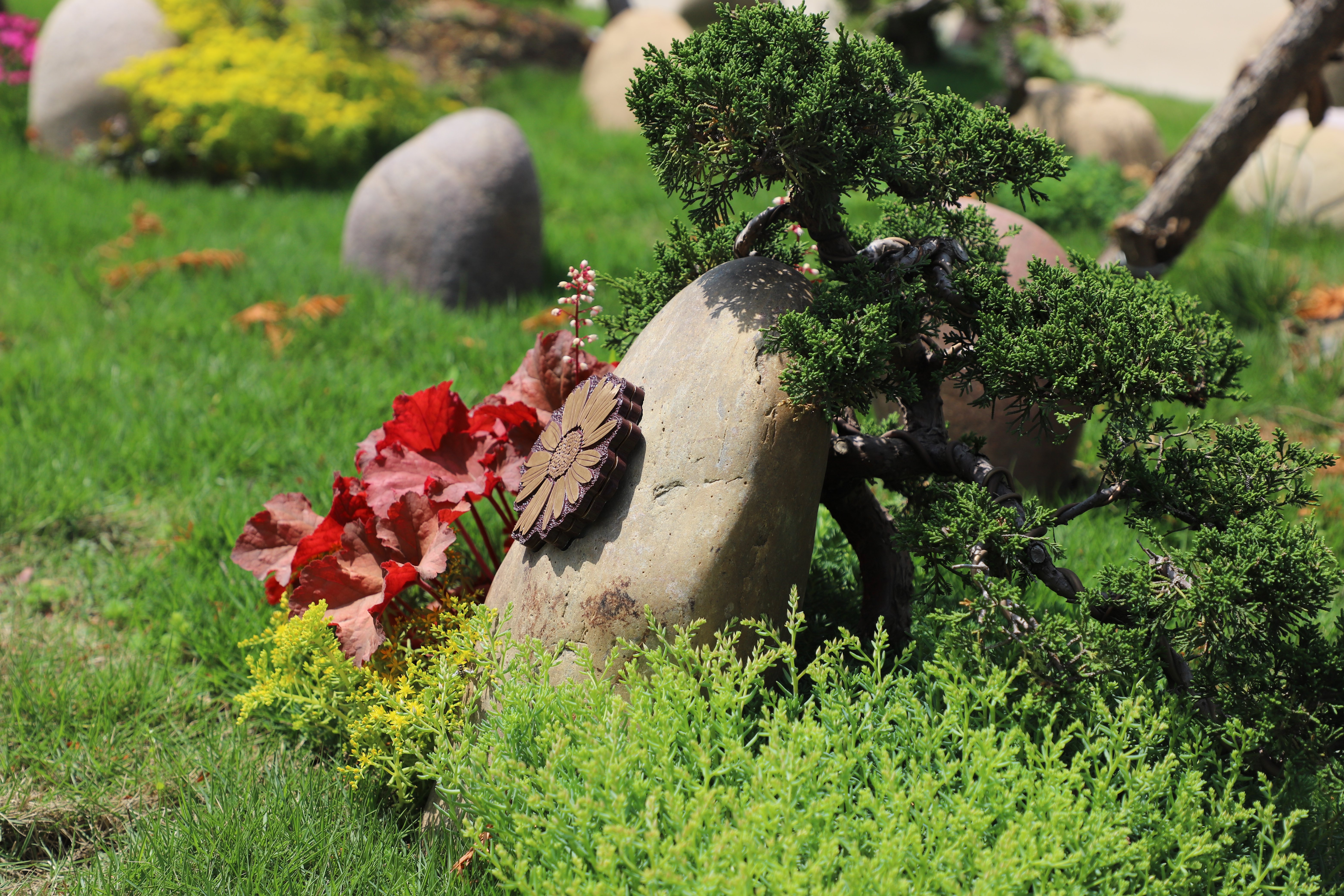 首页- 人生就是博中国官网入口