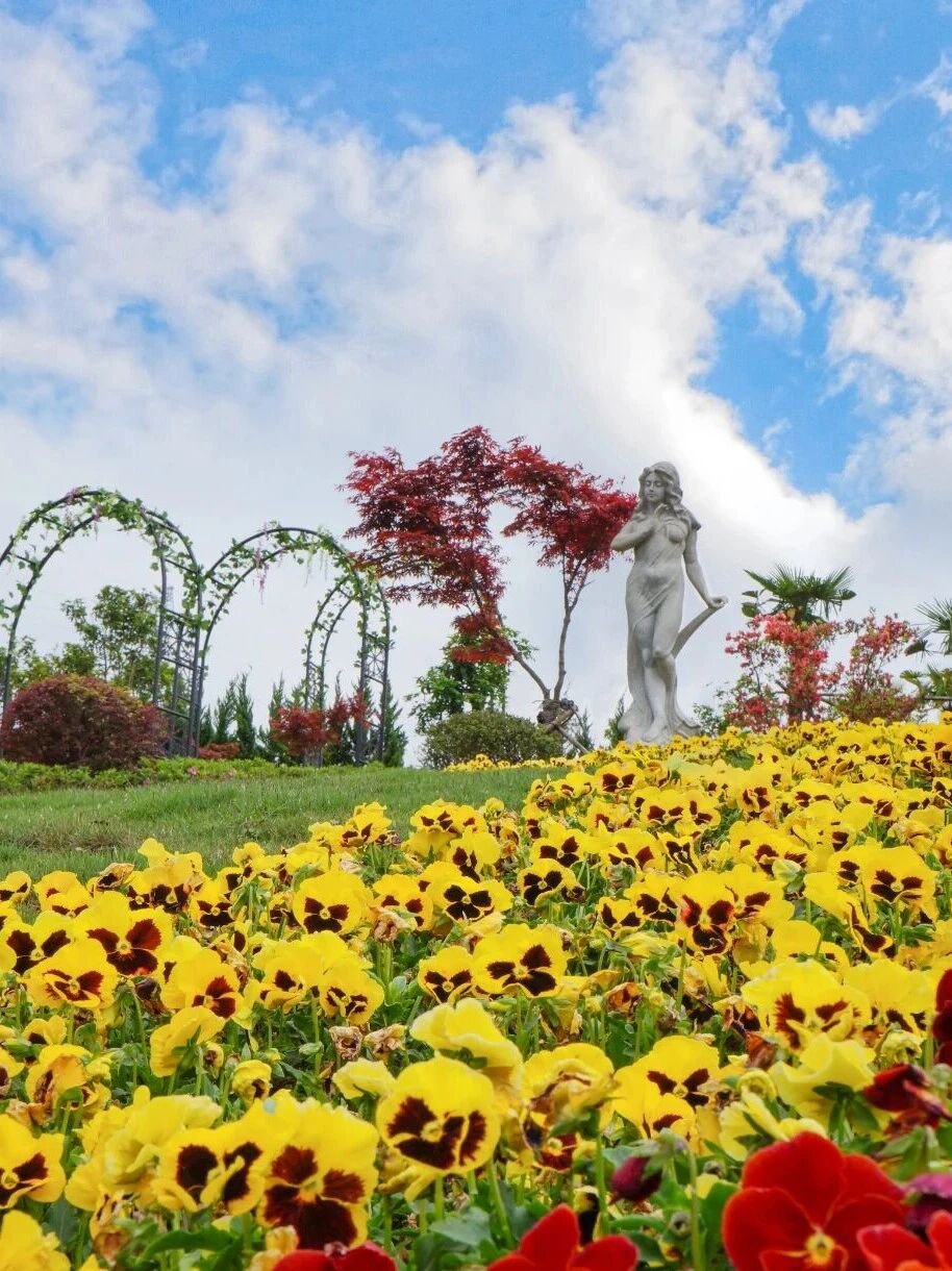 首页- 人生就是博中国官网入口