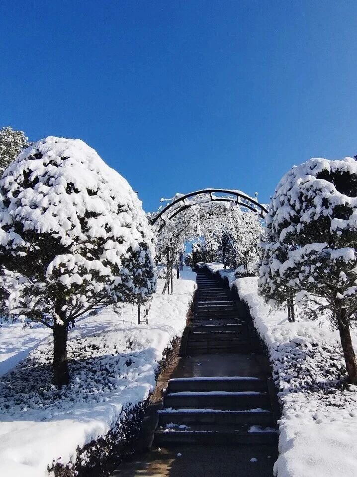 首页- 人生就是博中国官网入口