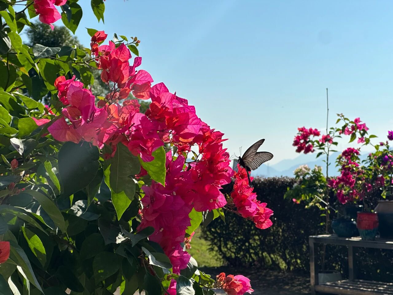 首页- 人生就是博中国官网入口