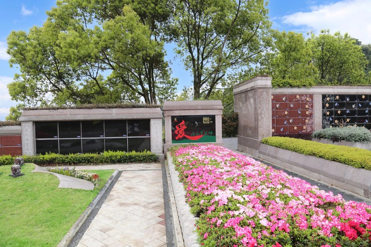 当留想，起头成长