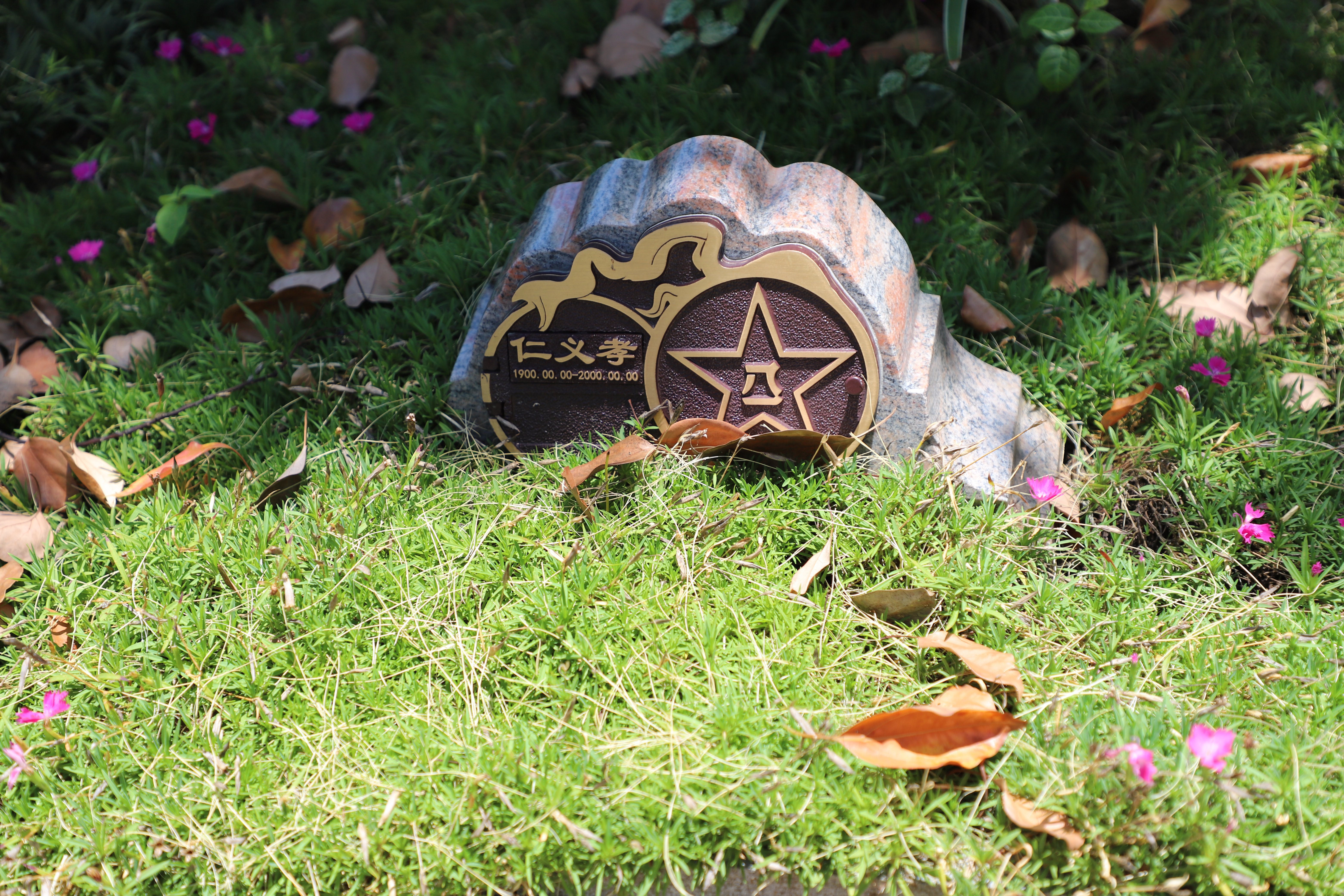 尘归尘，土归土：当性命终与天然相融