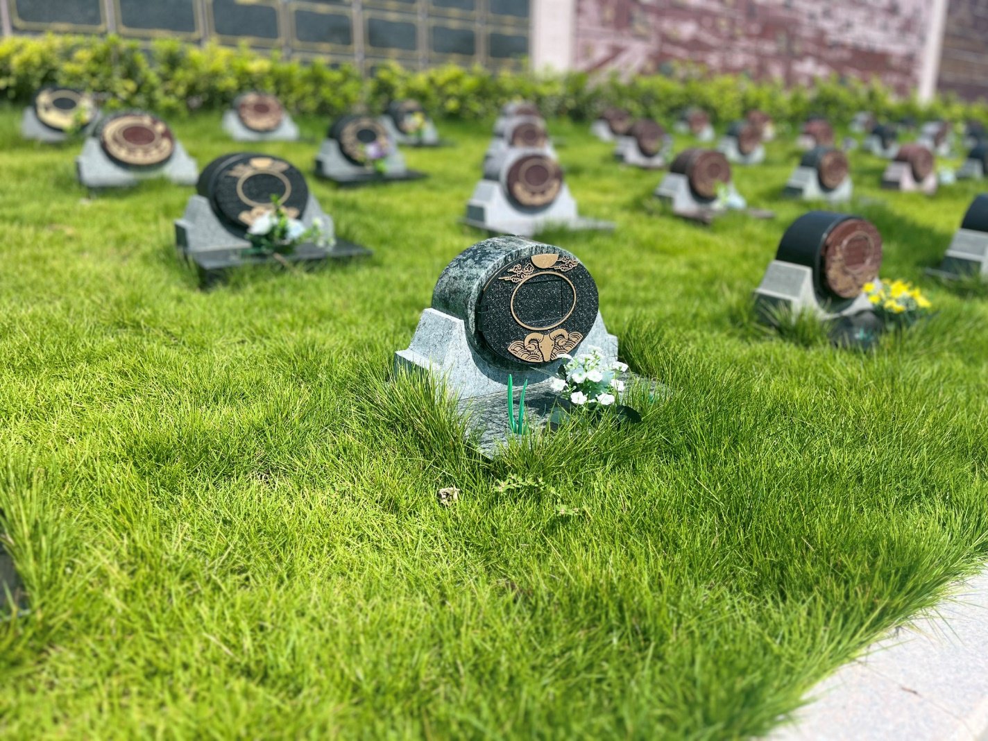 首页- 人生就是博中国官网入口