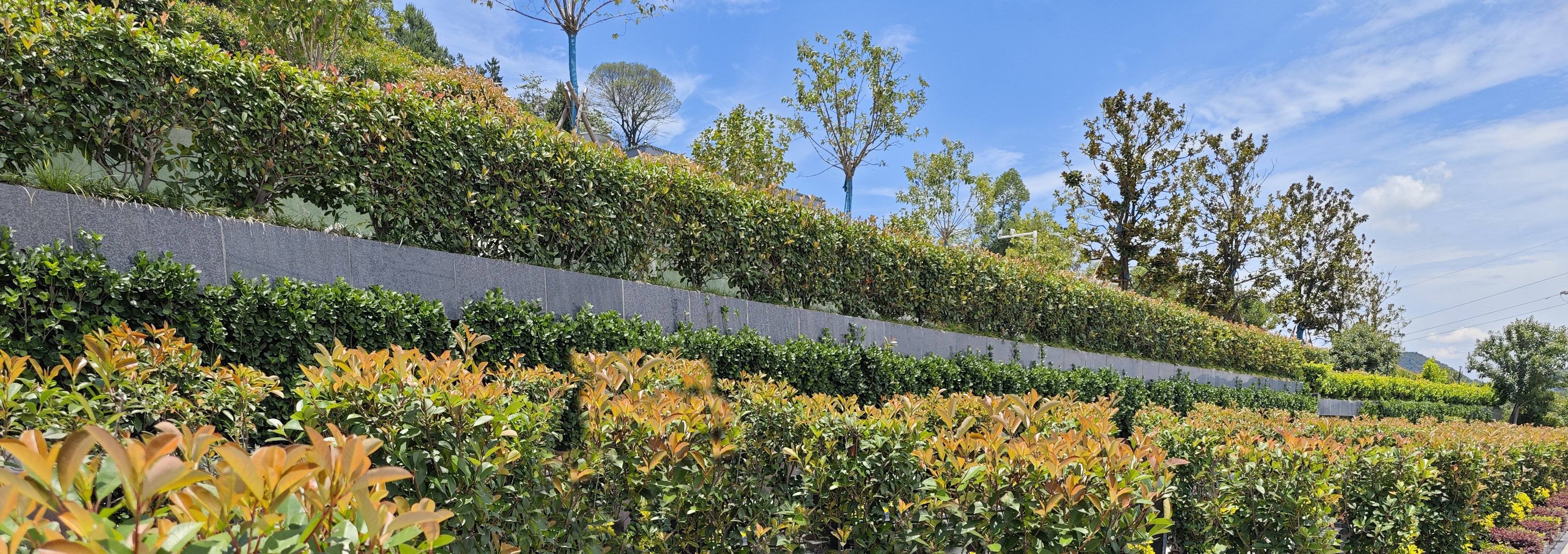 首页- 人生就是博中国官网入口