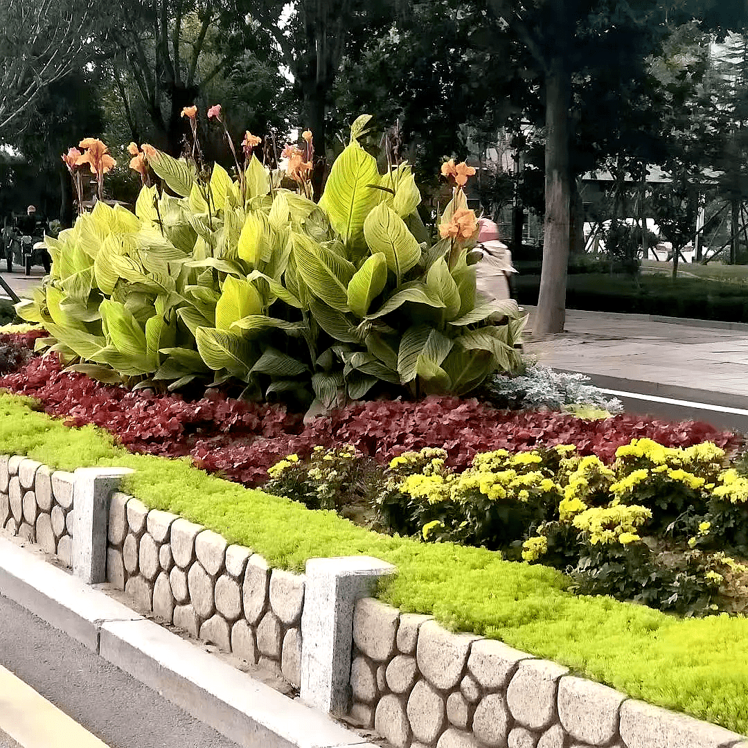 首页- 人生就是博中国官网入口