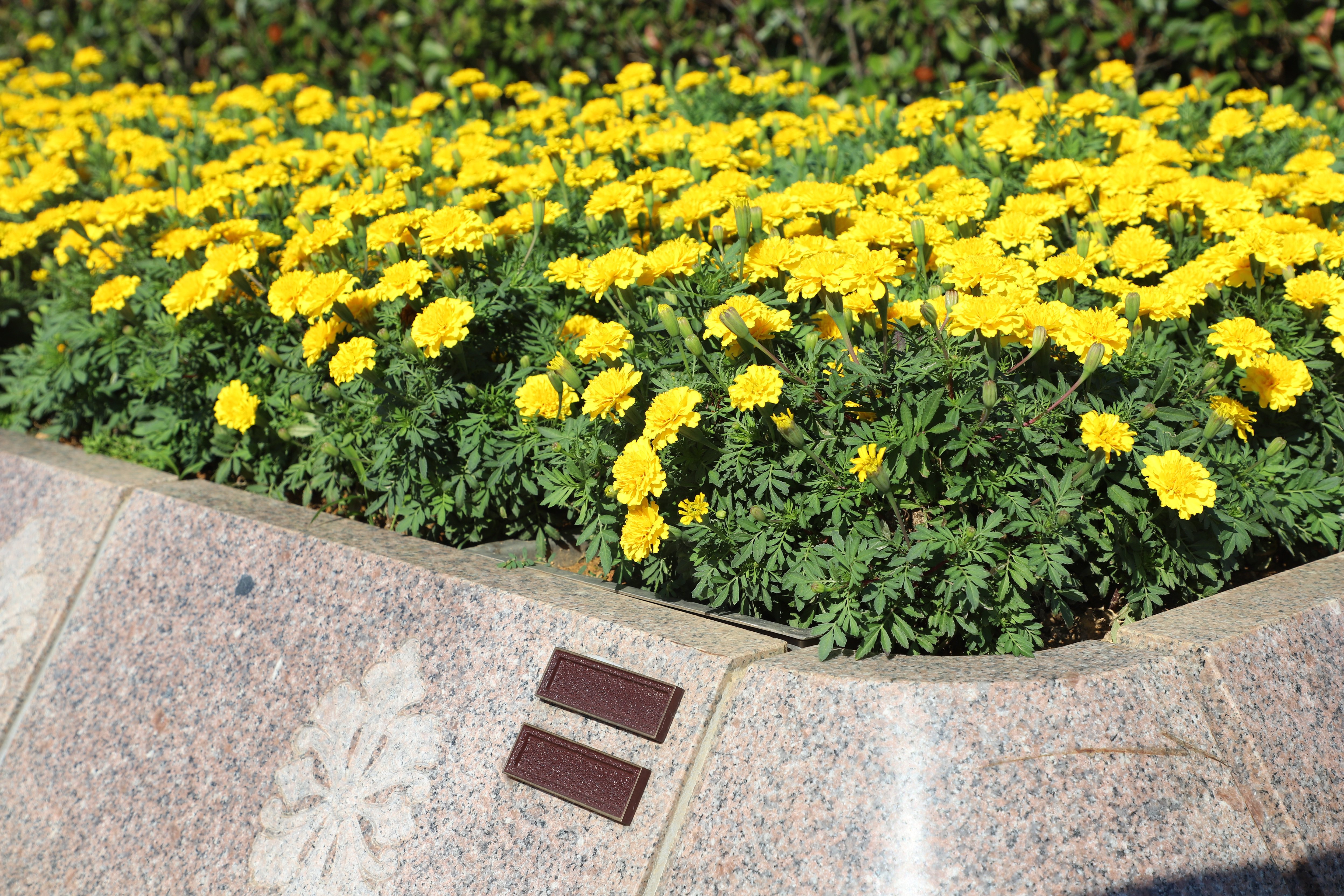 首页- 人生就是博中国官网入口